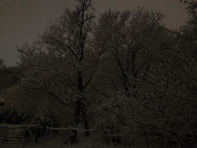 Прикрепленное изображение: ч.jpg